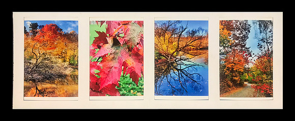 AUTUMN