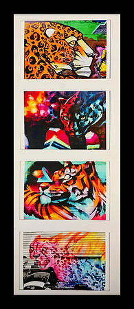 FELINES III
