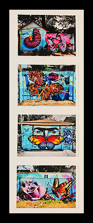 BUTTERFLIES II