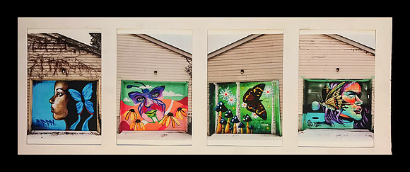 BUTTERFLIES I